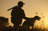 chasseur